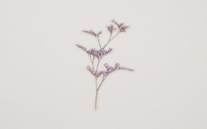 Appree Pressed flower sticker - Misty Blue