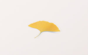 Appree Pressed flower sticker - Ginkgo