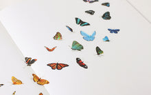 Load image into Gallery viewer, Appree Nature Sticker - Butterfly
