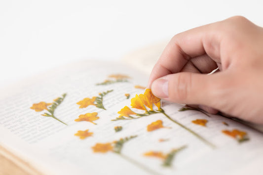 Appree Pressed flower sticker - Freesia