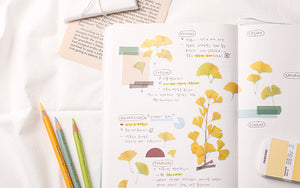 Appree Pressed flower sticker - Ginkgo