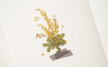 Load image into Gallery viewer, Appree Pressed flower sticker - Mimosa
