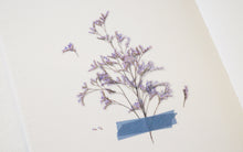 Load image into Gallery viewer, Appree Pressed flower sticker - Misty Blue
