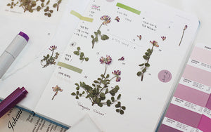 Appree Pressed flower sticker - Astragalus Sinicus