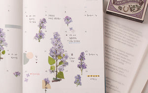 Appree Pressed flower sticker - Lilac