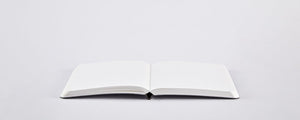 Nuuna Notebook Shiny Starlet S - Silver