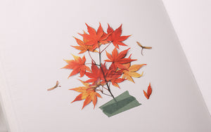 Appree Pressed flower sticker - Palmate Maple