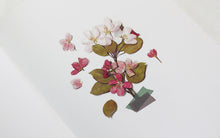 Load image into Gallery viewer, Appree Pressed flower sticker - Apple Blossom
