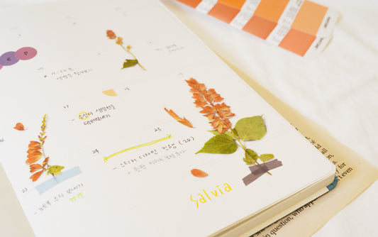 Appree Pressed flower sticker - Salvia