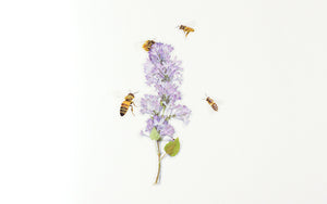 Appree Nature Sticker - Honeybee