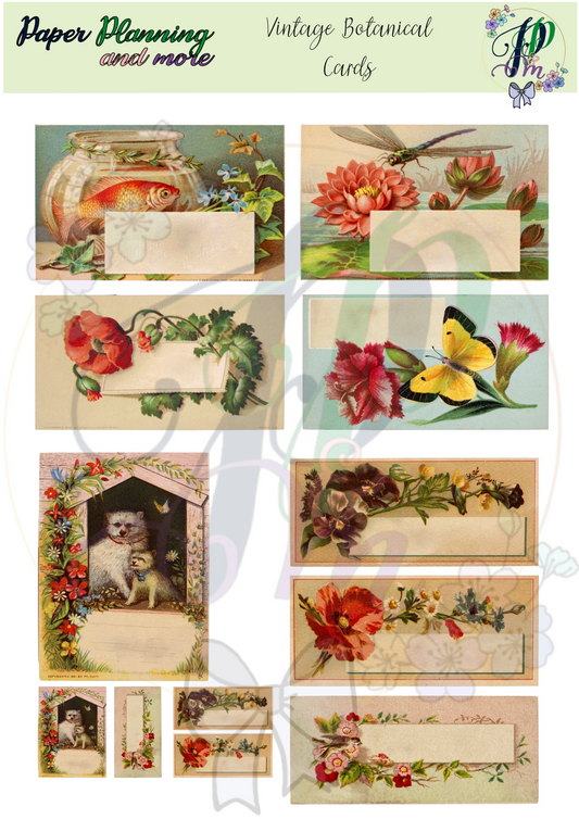 Vintage Botanical Cards Sticker Sheet 2