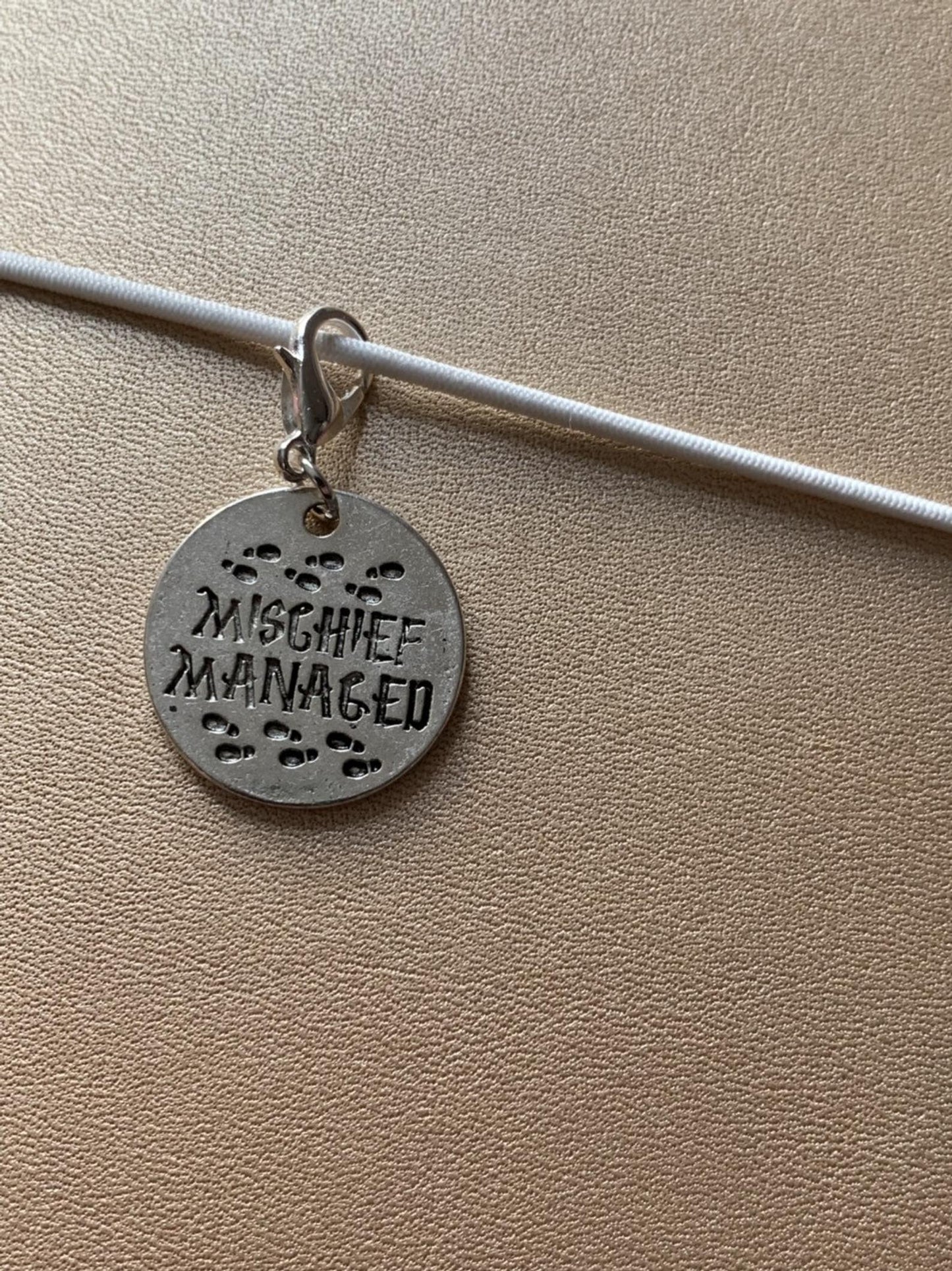 Harry Potter Disc Charm