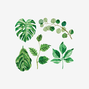 Mossery: Artist Series Stickers- Foliage