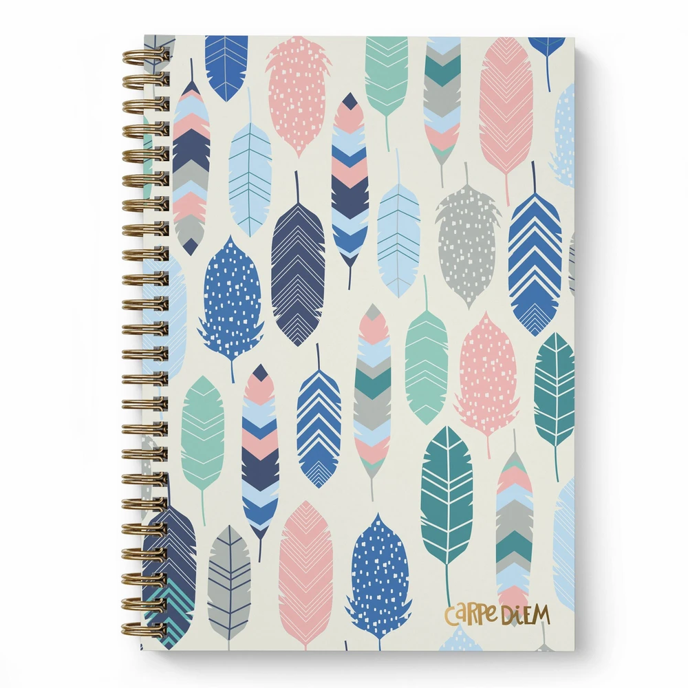 Feathers Hardcover Notebook (B5)