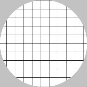 Twist Notebook Exclusive Use Leaf - Grid Ruled