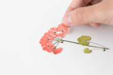 Load image into Gallery viewer, Appree Pressed flower sticker - Geranium
