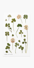 Load image into Gallery viewer, Appree Pressed flower sticker - Four Leaf Clover
