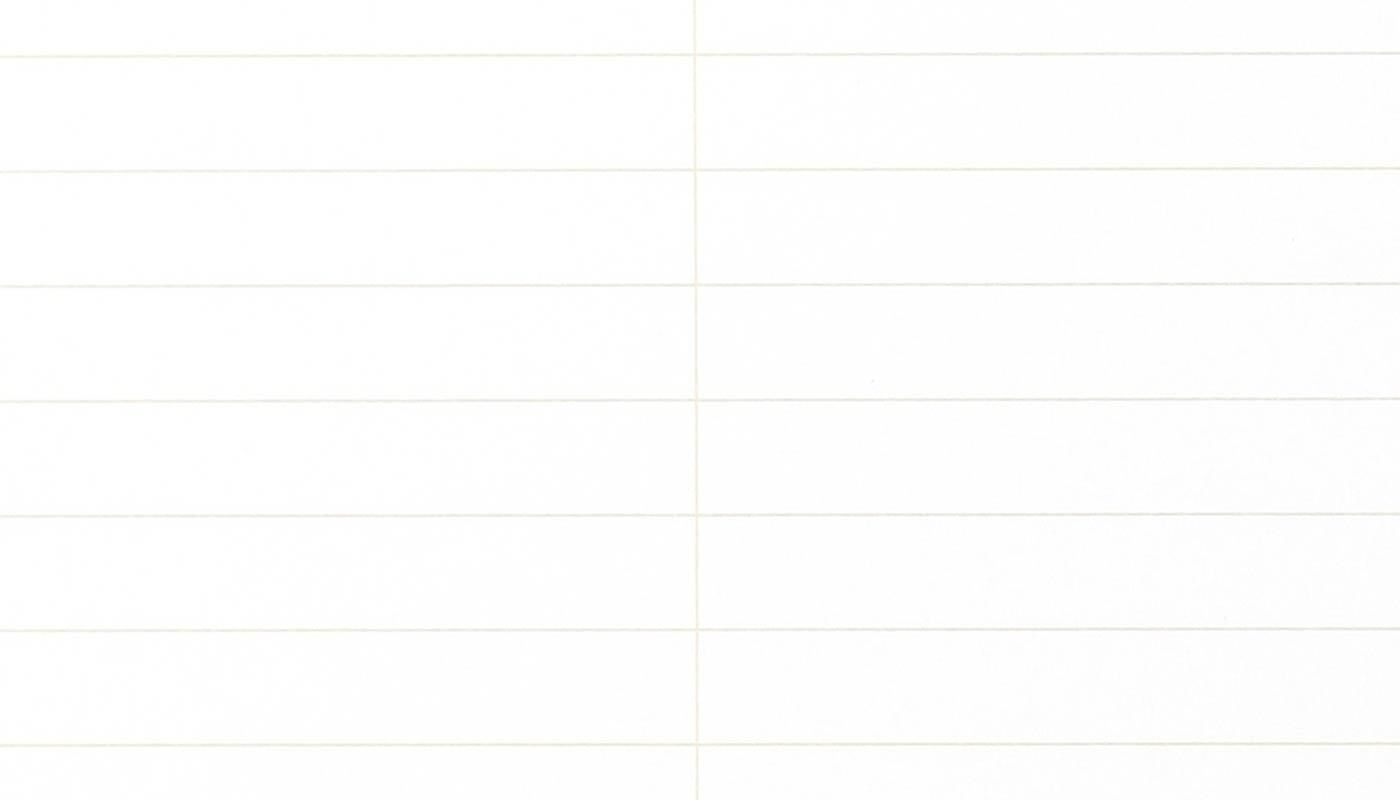Field Notes: SINGLE STENO PAD