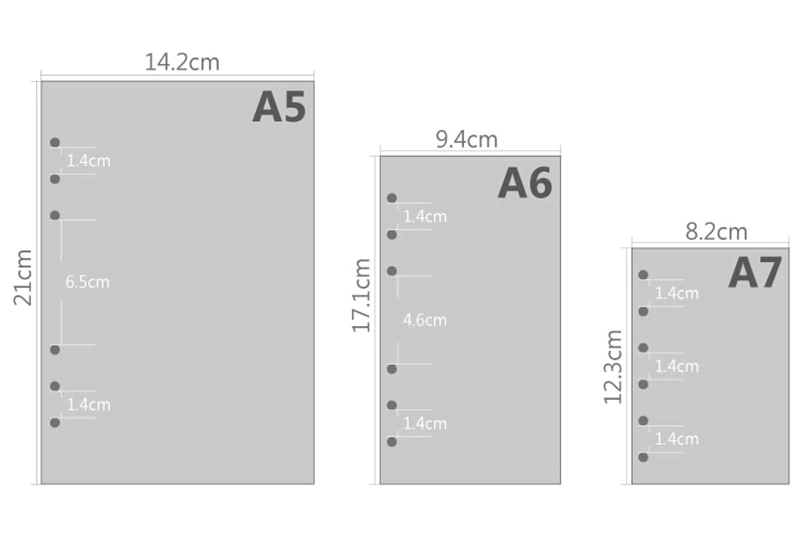 Transparent Ring Binder Inserts- Ruled