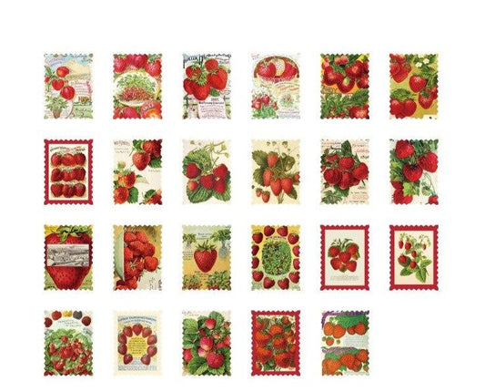 Strawberries Stamp Sticker Box
