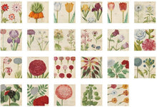 Load image into Gallery viewer, Of Flowers and Leaves Sticker Box
