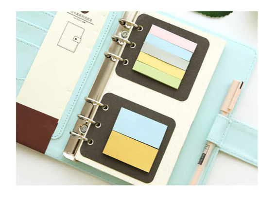 Transparent Ring Binder Inserts- Sticky Memo