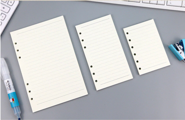Transparent Ring Binder Inserts- Ruled
