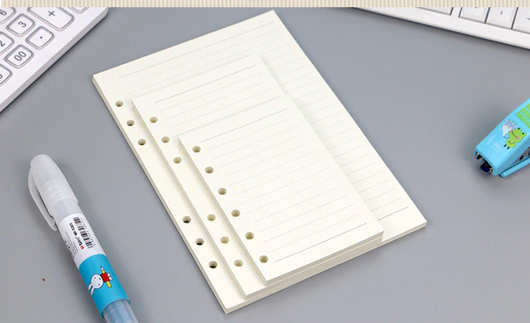 Transparent Ring Binder Inserts- Ruled