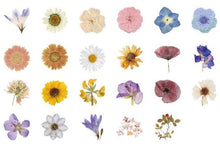 Load image into Gallery viewer, Daisy Floral Planner Stickers
