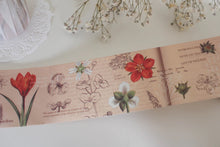 Load image into Gallery viewer, An Illustrated Guide Washi Tape with Release Paper
