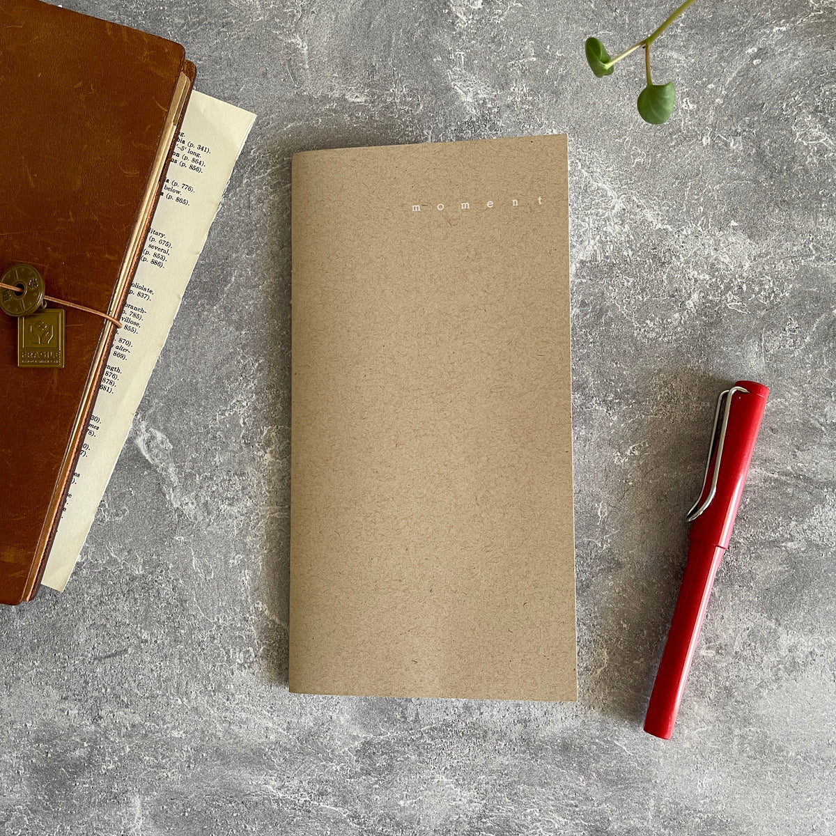[BK Notebook] MOMENT