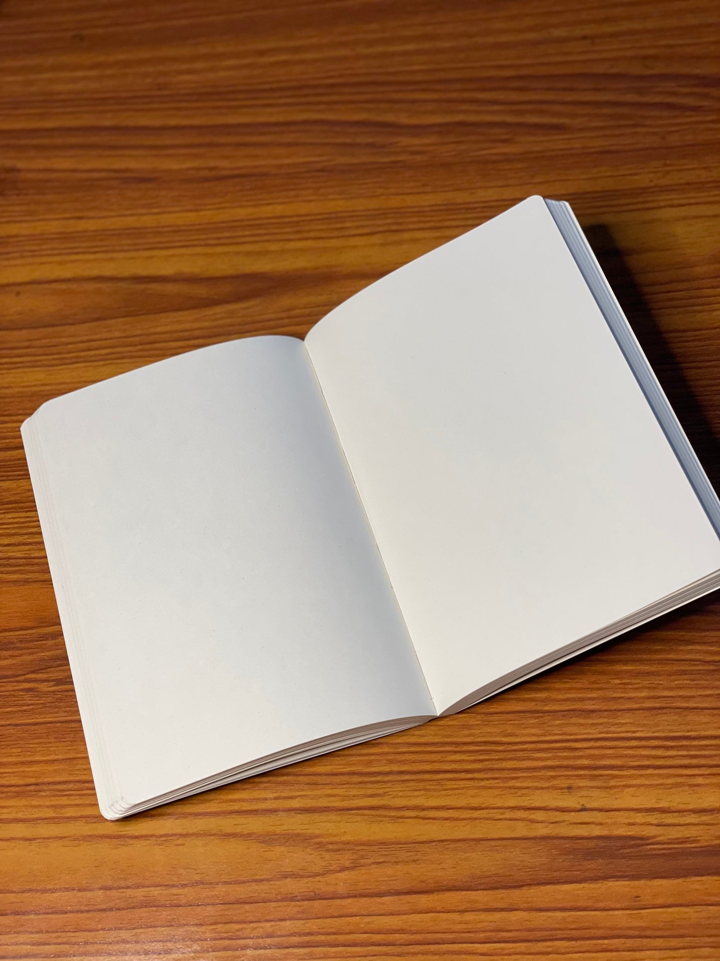 Alice in Wonderland Unruled Notebook