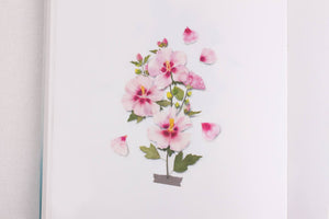 Appree Pressed flower sticker - Rose of Sharon