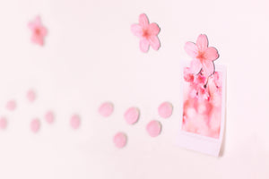 Appree Leaf Magnet - Cherry Blossom