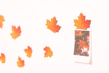 Load image into Gallery viewer, Appree Leaf Magnet - Maple
