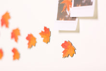 Load image into Gallery viewer, Appree Leaf Magnet - Maple
