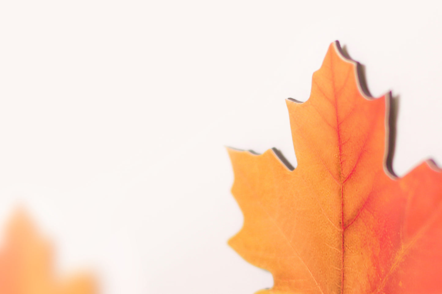 Appree Leaf Magnet - Maple
