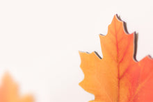 Load image into Gallery viewer, Appree Leaf Magnet - Maple
