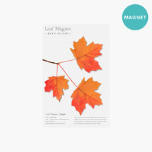 Load image into Gallery viewer, Appree Leaf Magnet - Maple
