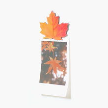 Load image into Gallery viewer, Appree Leaf Magnet - Maple
