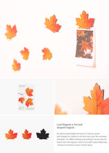 Load image into Gallery viewer, Appree Leaf Magnet - Maple
