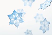 Load image into Gallery viewer, Appree Leaf Magnet - Snow Flower
