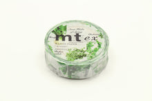 Load image into Gallery viewer, MT EX Washi Tape Seven Herbs Of Spring Sample
