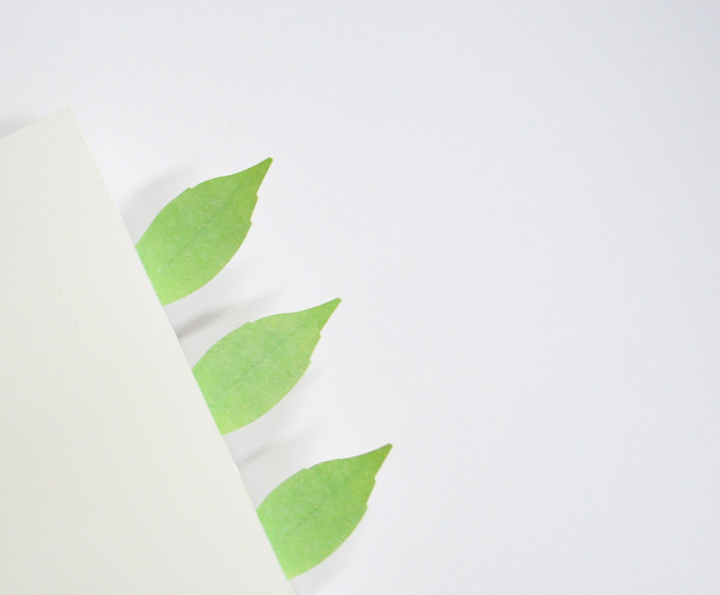 Appree Sticky Leaf Birch
