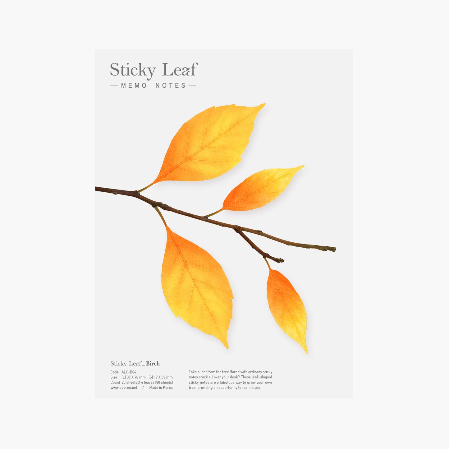 Appree Sticky Leaf Birch