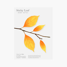 Load image into Gallery viewer, Appree Sticky Leaf Birch

