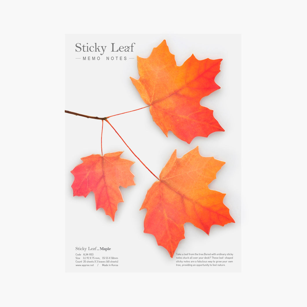 Appree Sticky Leaf Maple