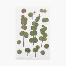 Load image into Gallery viewer, Appree Pressed flower sticker - Eucalyptus
