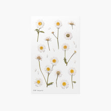 Load image into Gallery viewer, Appree Pressed flower sticker - Marguerite
