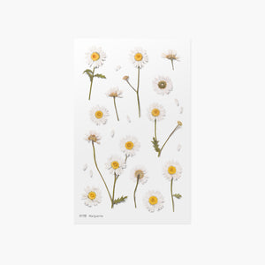 Appree Pressed flower sticker - Marguerite
